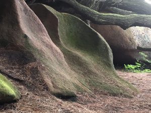 Racines Bretagne